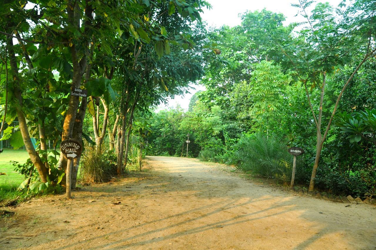 The Riverwood Forest Retreat Pench Khawasa Exterior photo